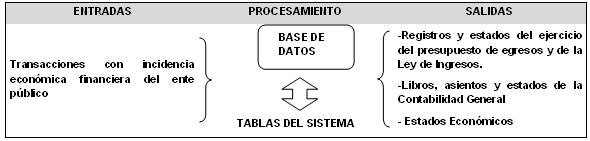 base en la teoría contable, el marco conceptual, los postulados básicos y las normas nacionales e internacionales de información financiera que sean aplicables en el Sector Público Mexicano.