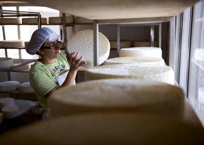 Socioeconomía de la Reserva Productos El producto tradicional más importante es el queso majorero, con denominación de origen y premiado en numerosos certámenes internacionales.