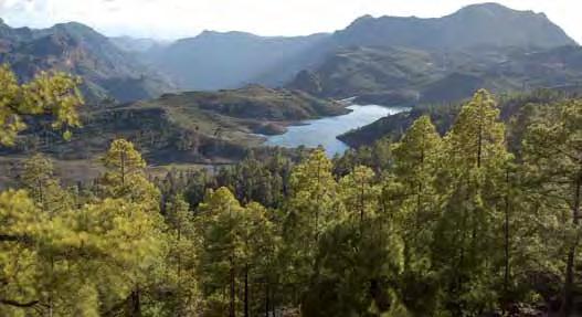 Contribución de la Reserva al desarrollo sostenible En la Reserva se encuentran 60 grandes presas, con un total de almacenamiento de 76,8 hectómetros cúbicos, siendo la presa de Soria, con un