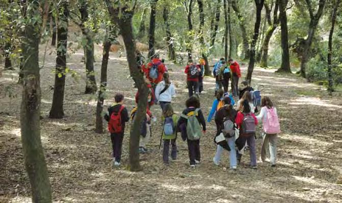 Contribución de la Reserva al desarrollo sostenible Educación ambiental a escolares. El Montseny es un espacio dinámico, donde se desarrollan actividades productivas diversas.