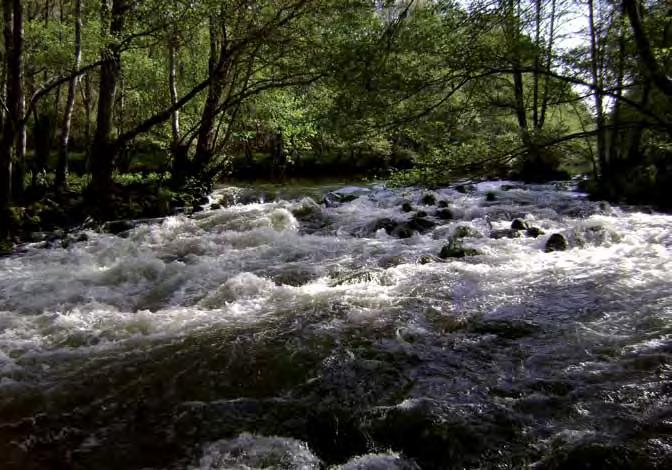 Patrimonio Cultural y Paisaje La importancia del agua. La importancia del agua Las veigas son terrenos situados en las márgenes de los ríos, especialmente del Limia.
