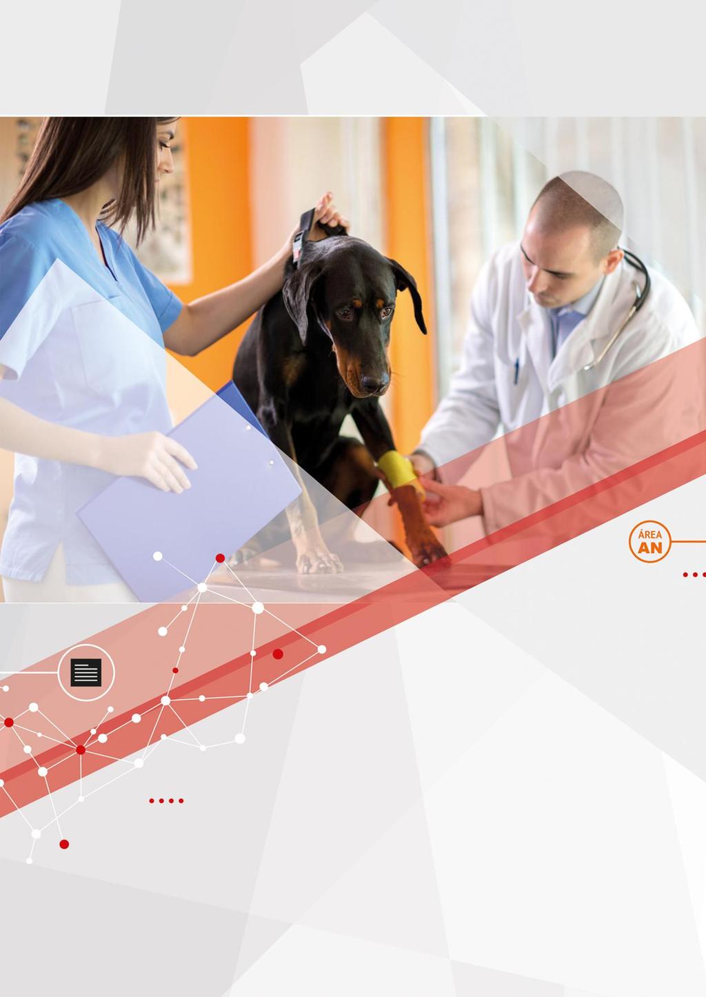 Satisfacción de alumnos del 98% Asistente Técnico Veterinario Posibles salidas profesionales Clínicas veterinarias privadas.