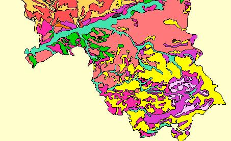 Mapa 8: Situación de Posadas respecto al mapa edafológico de Andalucía. La zona de estudio se encuentra englobada dentro de varias unidades edafológicas. 3.3.- Medio biótico. 3.3.1.- Vegetación.