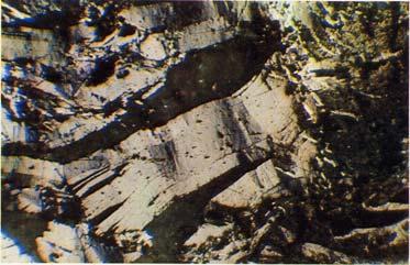 molibdenita (16x, Picot, P. and Johan, Z.