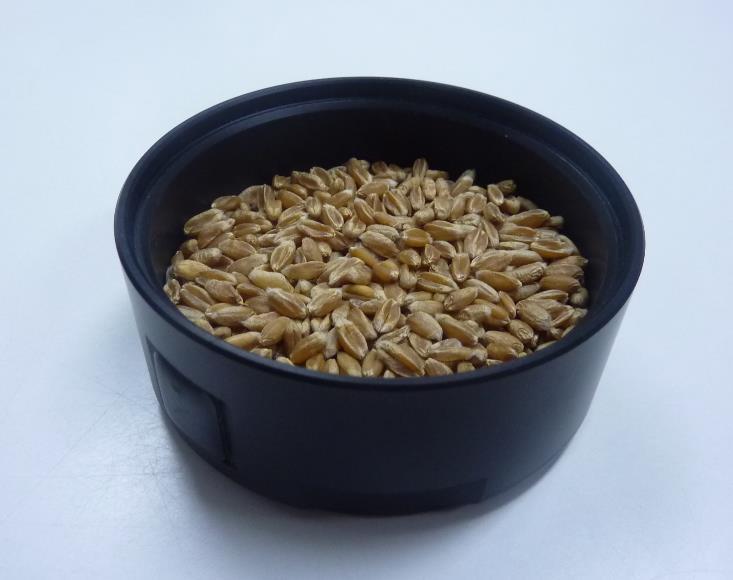 3. Material y métodos 1. Muestras de Trigo Se tomaron muestras de grano de trigo blando y trigo duro procedentes de la red de ensayos TRANSFORMA de la campaña 2014/15.