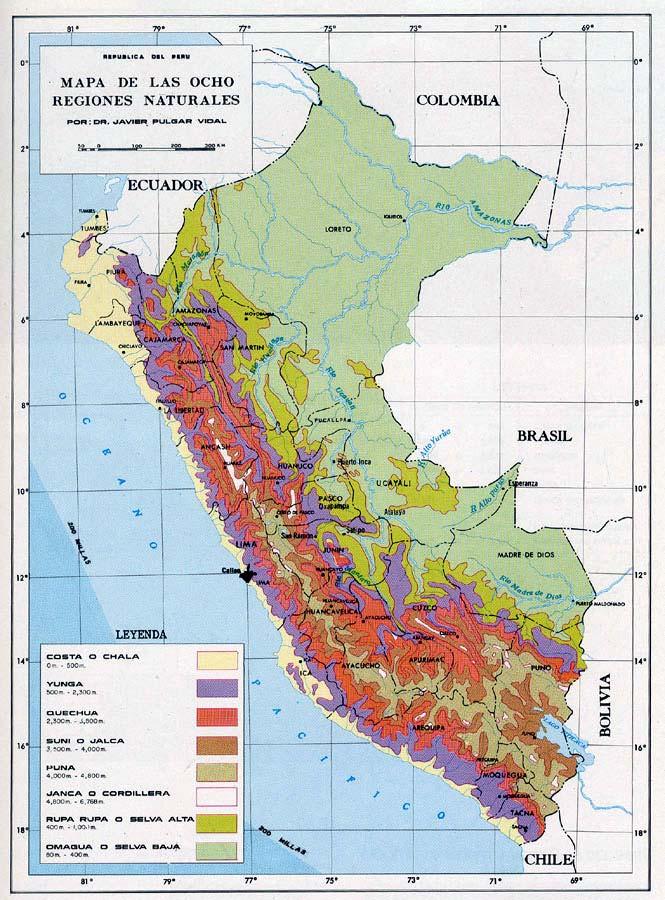 OCHO REGIONES NATURALES DE JAVIER PULGAR VIDAL: - Costa o Chala - Yunga - Quechua -