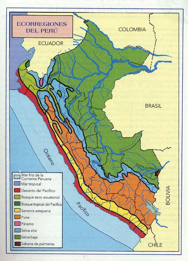 LAS 11 ECORREGIONES DEL PERÚ - SEGÚN ANTONIO BRACK: - Una ecorregión es una área geográfica que se