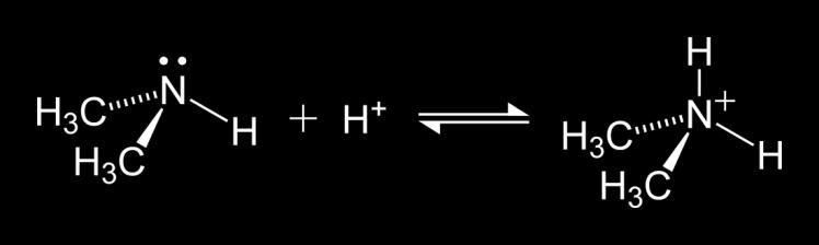 Covalente coordinado o dativo Enlace covalente polar (compartición de un par de electrones) con la