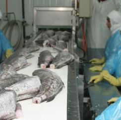 Información e Investigación Pesca Ilegal