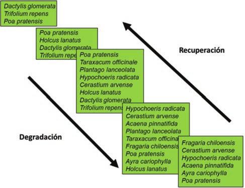 (izquierda). La figura 2.6 muestra el proceso de cambio botánico en la pradera naturalizada de la zona intermedia de Aysén.