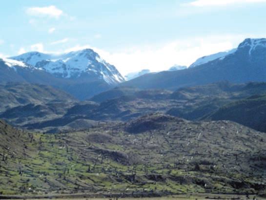 Capítulo 2 - Caracterización Agroclimática de la Región de Aysén Producto de los incendios forestales, los suelos de esta zona de Aysén estuvieron durante décadas cubiertos de palizadas muertas