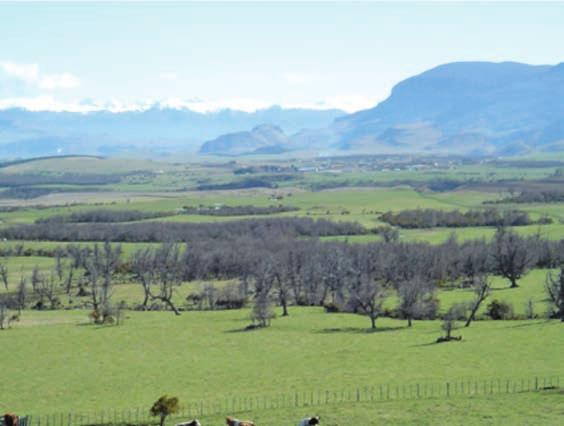 Caracterización y propiedades de los suelos de la Patagonia occidental (Aysén) viometría de esa época, generan sequías estivales, las que se han hecho