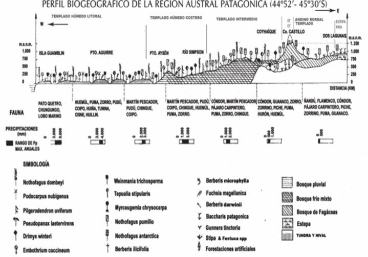 Caracterización y propiedades de los suelos de la Patagonia occidental (Aysén) Otro problema que surge al basarse en sistemas tradicionales de Gajardo (1994) y Luebert &Pliskoff, (2006), es que no