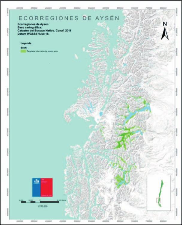Caracterización y propiedades de los suelos de la Patagonia occidental (Aysén) Dominio Templado seco estival Ecorregión Templada seco estival (Csb) Este es un clima que se asemeja al de Chile central
