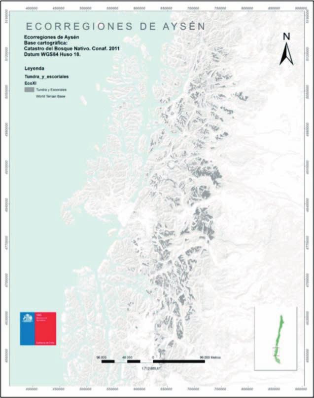 Caracterización y propiedades de los suelos de la Patagonia occidental (Aysén) Reino Nevado Dominio Tundra Ecorregión de