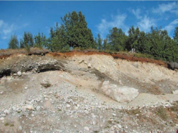 Caracterización y propiedades de los suelos de la Patagonia occidental (Aysén) En la región, los Aquepts se encuentran en lugares bajos y planos, como terrazas aluviales bajas con poca deposición de