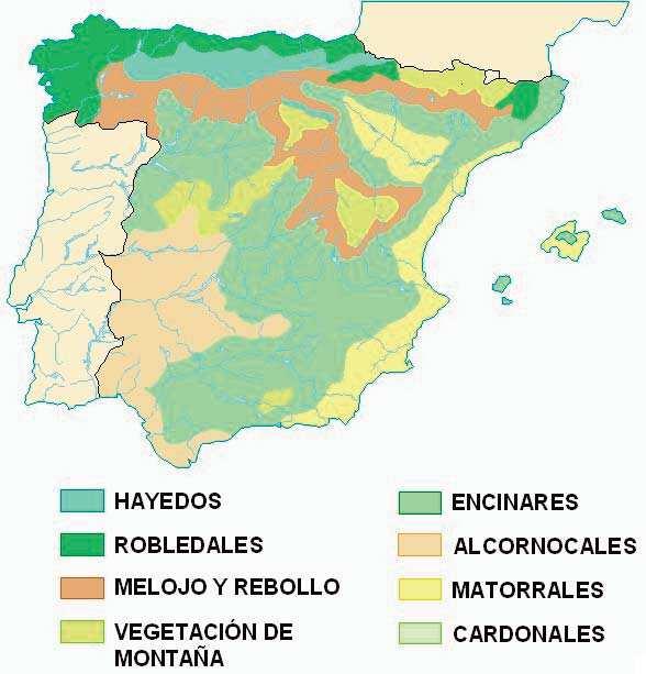 5.- En el siguiente mapa se representa las distintas formaciones vegetales de España.