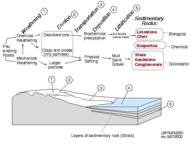 Clasificación de Rocas Sedimentarias: