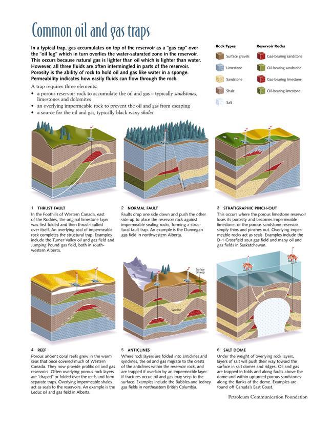 Petróleo y gas natural Hidrocarburos (carbon e hidrogeno) Remanentes organicos Roca de origen