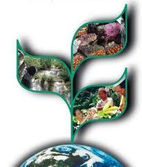 EL PAPEL El estudio de la vida Convención sobre Diversidad Biológica Conocer, Usar, distribuir los