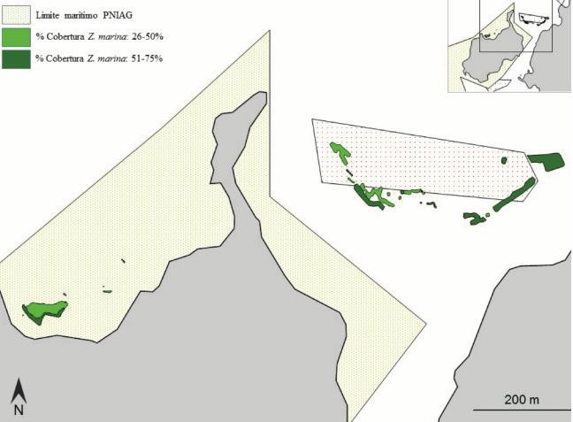 4 Nova Acta Científica Compostelana (Bioloxía), 24 (2017) Figura 2. Distribución, extensión y porcentaje de cobertura de Zostera marina en Sálvora (42º 28 16 N, 9º 00 09 W) (PNIAG). Figure 2.