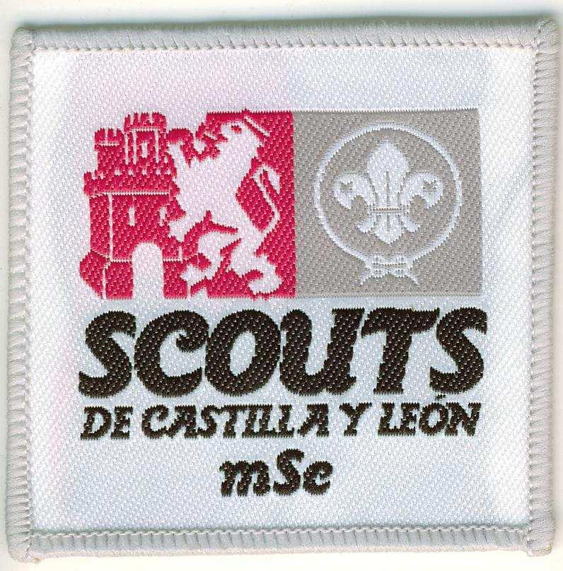 Grupo Cheminade de Ciudad Real Scout de Castilla León Insignias autonómicas Flor de Lis OMMS blanca sobre