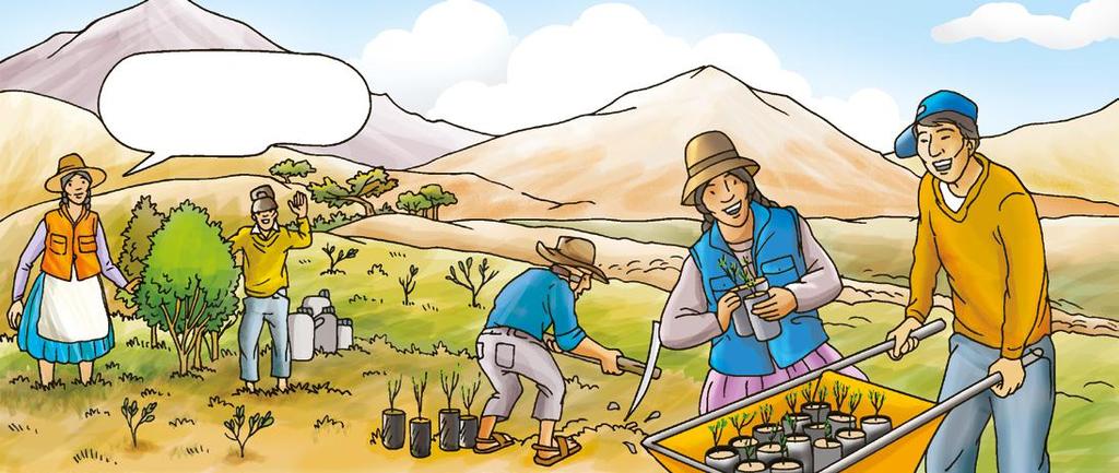 Programa Intercultural de Cuencas Pedagógicas 8 Cuándo plantar? En el Altiplano y Valles, la mejor época de plantar es al iniciar la época de lluvias (noviembre y diciembre).