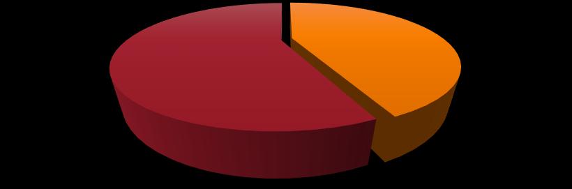 ADMINISTRACIÓN DE LAS EMPRESAS 93,81% Empresas administradas por el propietario Empresas administradas por un