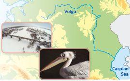 What rivers are there? The Volga is in Russia.