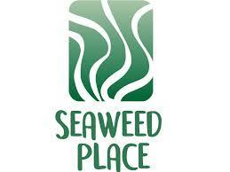 Ensaladas de Algas Seaweed Place: ensalada funcional e