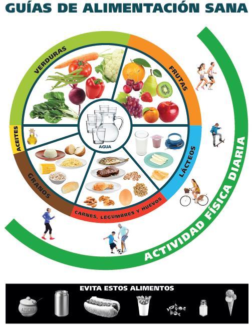 Qué características tiene la Alimentación Saludable? Contiene variedad de alimentos de todos los grupos.