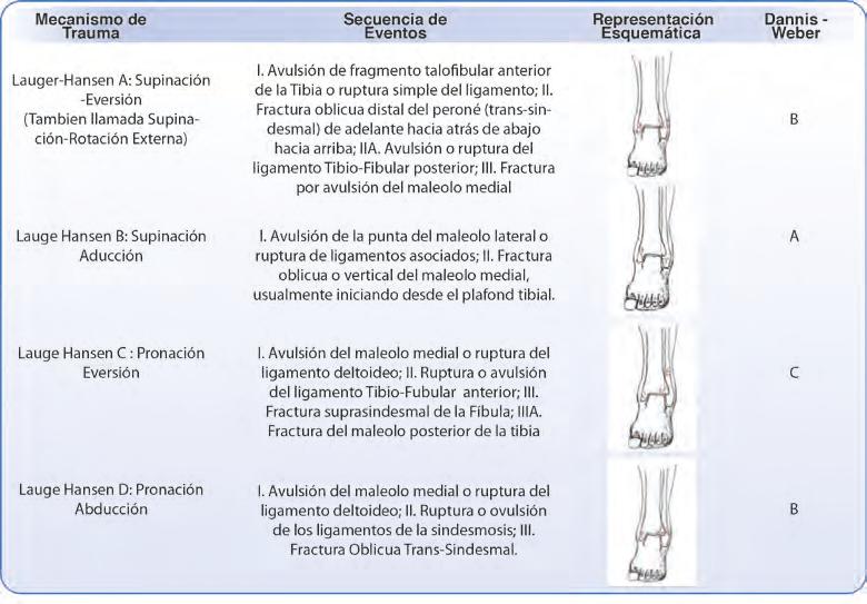 última es de fácil uso clínico pero no abarca la complejidad del mecanismo de lesión (29).