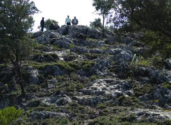 Fotografía 3: Efecto de la eliminación de combustible mediante pastoreo controlado sobre zona de elevada pedregosidad en Monte de Conejeras (Parauta, Málaga).