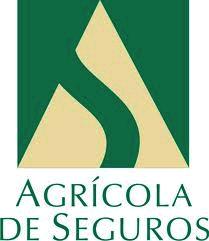 Seguridad Social) 1997 1997 Holding Suramericana de Inversiones