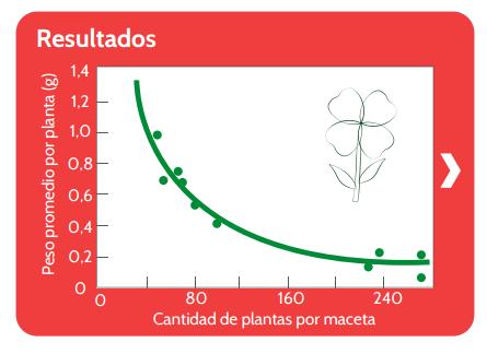Selecciona la opción correcta Cómo afecto la cantidad de plantas por maceta el peso de las plantas? A. A medida que aumentaba la cantidad de plantas, aumentaba el peso promedio. B.
