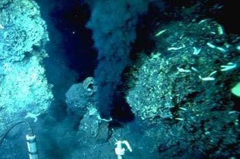 Ecosistemas de las dorsales oceánicas Bacterias