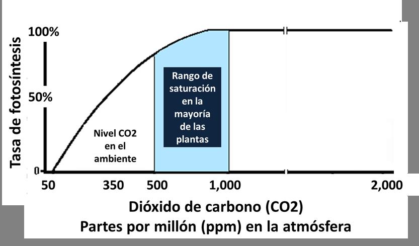 Factores: Concentración de CO 2 Fotosíntesis limitada por CO 2, pero escasa variación a nivel de la Tierra No importante para explicar patrones latitudinales Valores en torno a 380 ppm