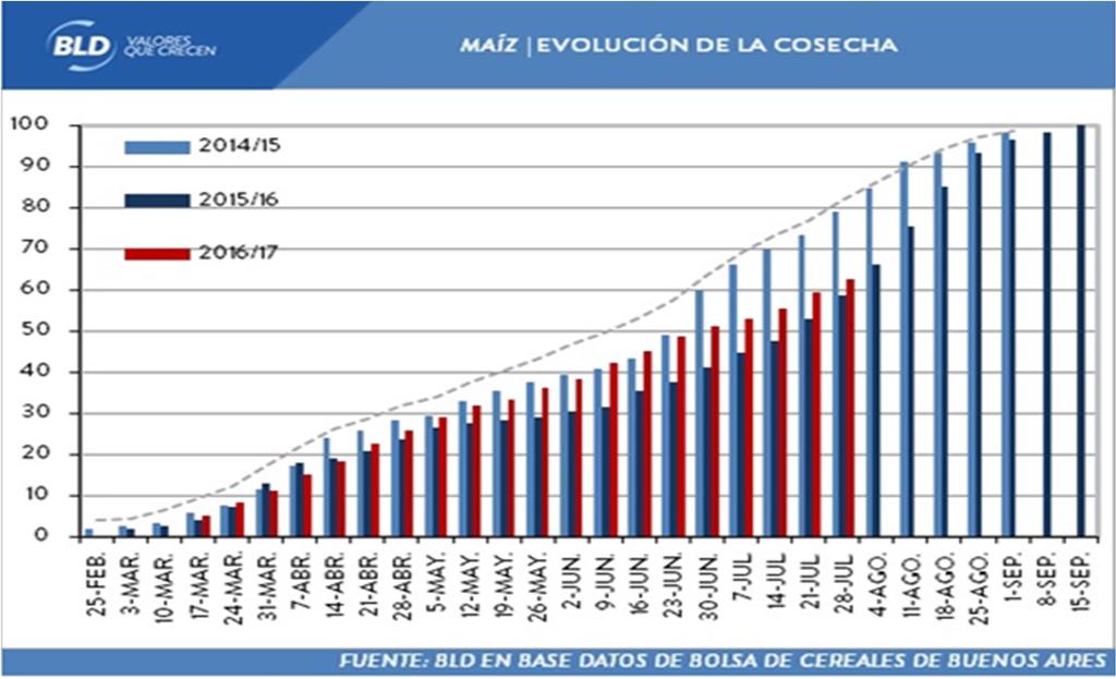 [INFORME SEMANAL DE GRANOS] Nº31 Gráfico 7. Evolución de la cosecha de maíz en Argentina alcanza el 62,5% del total estimado y el rinde nacional se eleva a los 83,4 qq/ha.