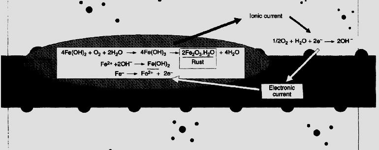 Celda electroquímica de corrosión, reacciones: - Conductor iónico o electrolito (hormigón) zona anódica (corroída) Conductor electrónico (armadura) ánodo / cátodo zona catódica (pasiva) Celda