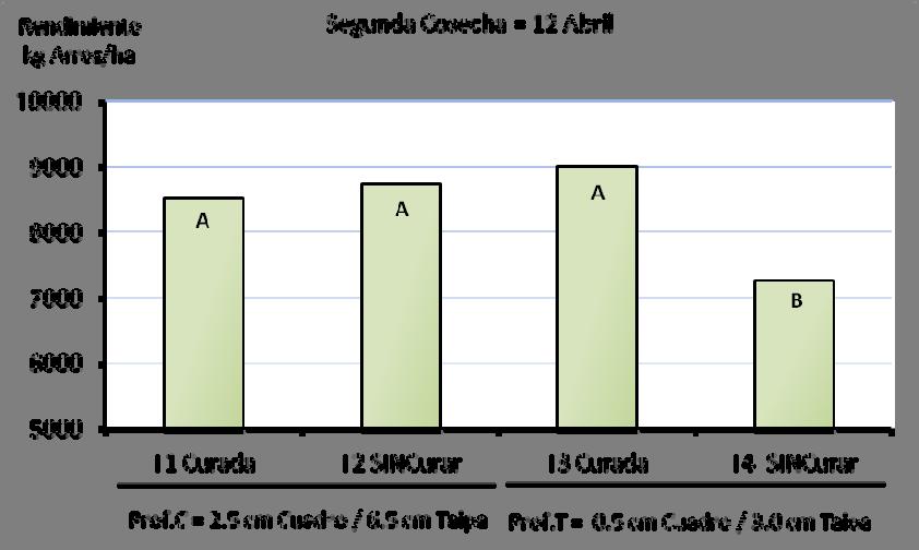 Figura 4. Rendimiento en grano obtenido en la primer cosecha realizada el 27 de Marzo 2012.Letras diferentes son significativamente diferentes entre sí con una probabilidad inferior a 5% (P<0,05).