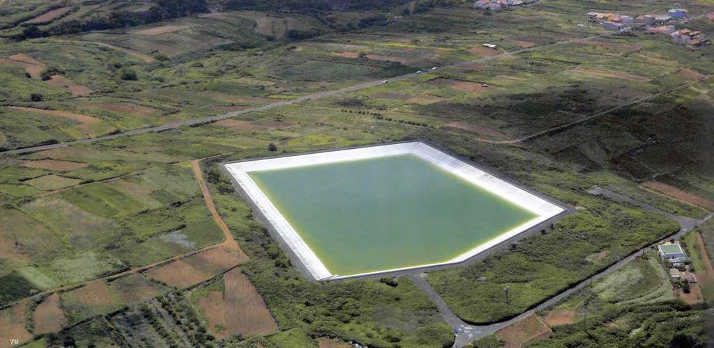 PLASTIFICANTES IDENTIFICACIÓN Geomembrana de La Laguna de Barlovento: PM=446 Radical alquílico: Ramificado