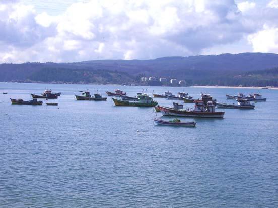 En la imagen se observan embarcaciones del tipo Bote. Lámina 2 Flota merlucera localizada en bahía Coliumo, VIII Región.
