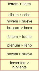 lenguas: Palabras patrimoniales Son palabras castellanas de origen latino que han evolucionado