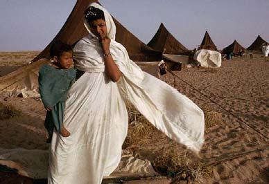 EFECTOS DEL CAMBIO CLIMATICO EN MAURITANIA El efecto mas evidente del cambio climático en Mauritania es el aumento de la desertificación, provocado por el aumento de movimiento de la arena y la