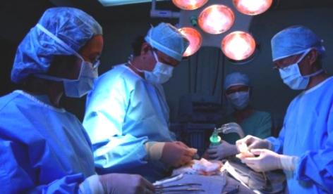 I I. NOTICIAS DESTACADAS EN MATERIA DE DONACIÓN Y TRASPLANTES DE ÓRGANOS Y TEJIDOS EN MÉXICO, Primer trasplante cruzado de riñón con donadores vivos no consanguíneos En el Hospital Juárez de México