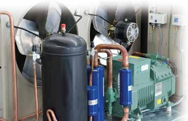Válvulas de servicio de succión y descarga en compresor Calefactor de cárter Indicador
