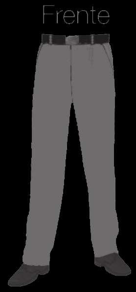 Uniforme de Embajador Masculino de gala a. Pantalón Modelo de vestir en color gris rata en tela, dobladillo liso, sin presillas, dos bolsillos traseros internos, sin tapa y sin botón.
