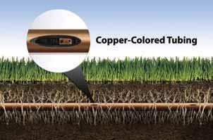 Bird XFS de color cobre con tecnología Copper Shield es la última innovación de la familia Xerigation de Rain Bird.