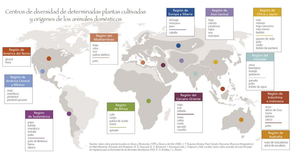 La vida patentada Los principales cultivos alimentarios tienen su origen en las zonas tropicales y Subtropicales de Asia, de África