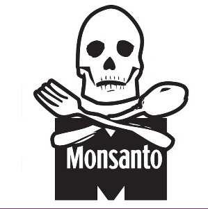 Principales Multinacionales Un puñado de multinacionales controlan la casi totalidad de negocio de los OMG: Monsanto, Syngenta (antes Novartis), Dupont (a la que pertenece Pioner), Bayer y Dow.